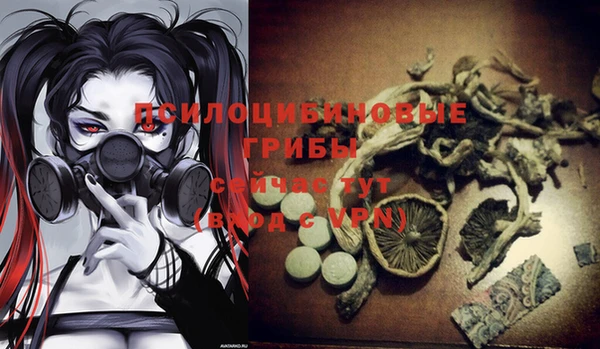 молекула духа Армянск