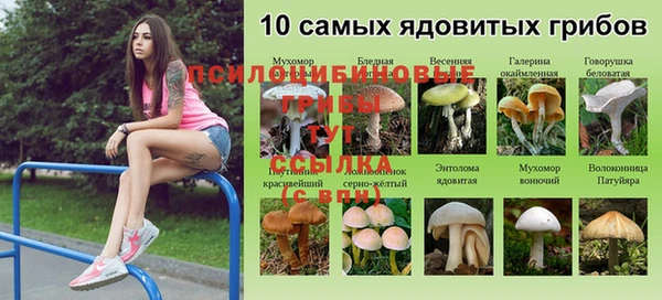 молекула духа Армянск