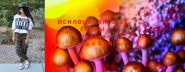 2c-b Аркадак