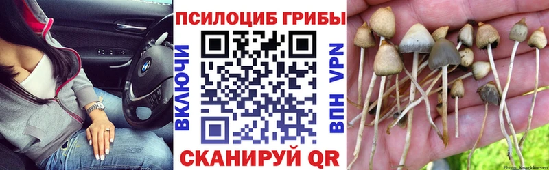 мориарти клад Грайворон Галлюциногенные грибы мухоморы